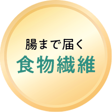 食物繊維