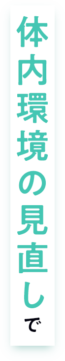 体内環境の見直しで