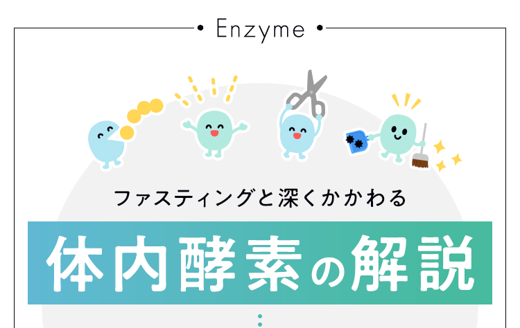ファスティングと深くかかわる体内酵素の解説